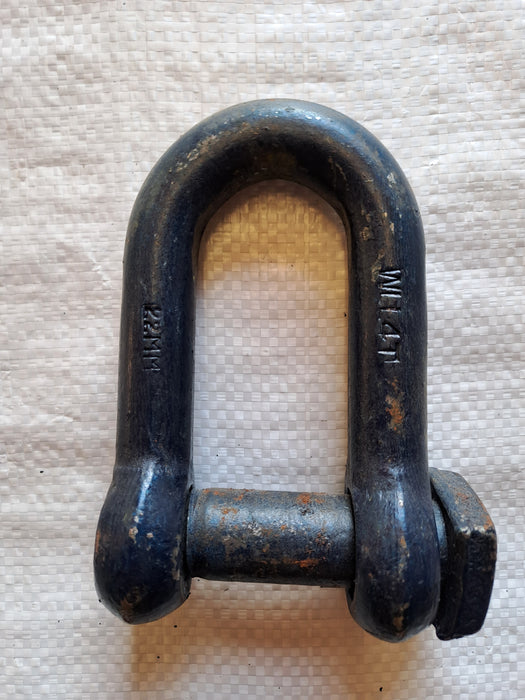 Blue D-Shackle